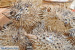 Corfu stad | Corfu | De Griekse Gids - foto 40